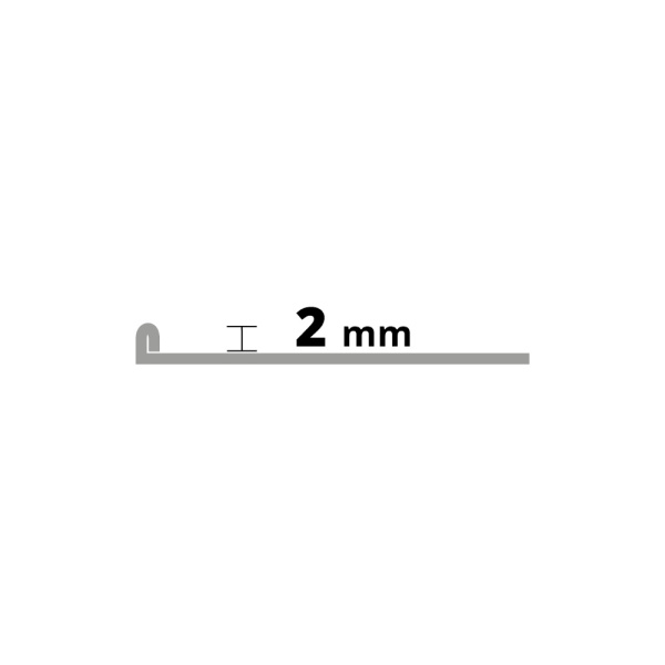 2 mm