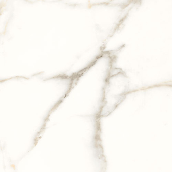 Dlažba Trilogy calacatta white lux 60x60 cm